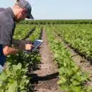 Optimisation de la gestion des coopératives et négoces agricoles grâce aux solutions digitales