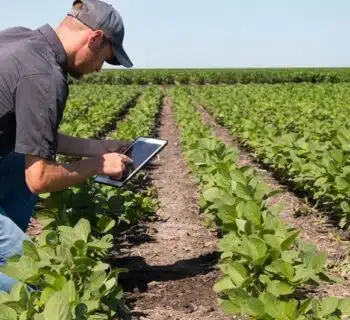 Optimisation de la gestion des coopératives et négoces agricoles grâce aux solutions digitales