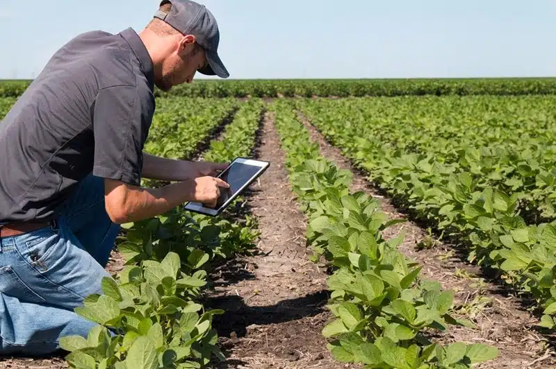Optimisation de la gestion des coopératives et négoces agricoles grâce aux solutions digitales