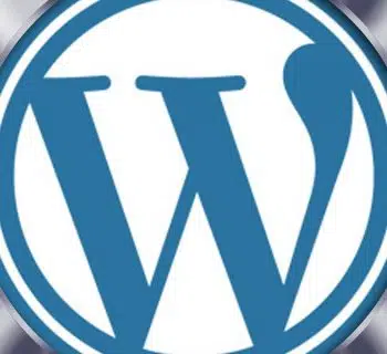 Quel est l’intérêt de faire appel à une agence d’assistance WordPress ?