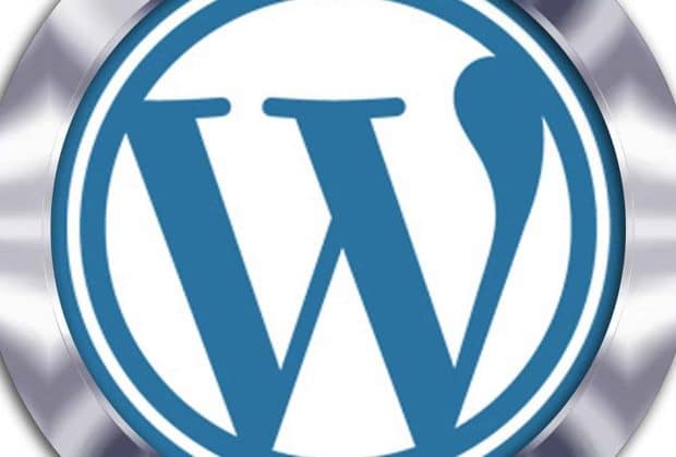 Quel est l’intérêt de faire appel à une agence d’assistance WordPress ?